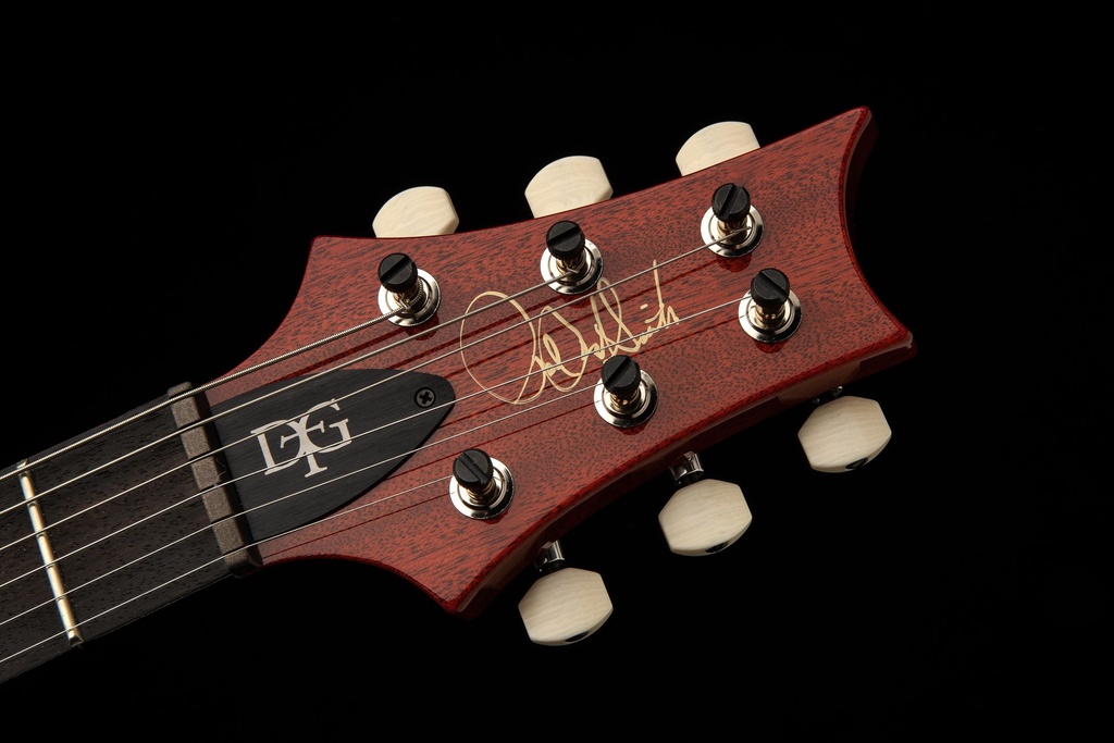 DGT Semi-Hollow_h.jpg