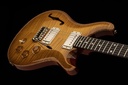 DGT Semi-Hollow_b.jpg