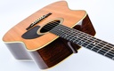 Martin D28 Brazilian 1955-8.jpg