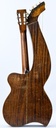 Larson Brothers Dyer Harp Guitar Style 3 ca. 1908-5.jpg