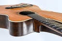 Larson Brothers Dyer Harp Guitar Style 3 ca. 1908-11.jpg