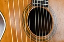 Larson Brothers Dyer Harp Guitar Style 3 ca. 1908-8.jpg