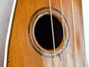 Larson Brothers Dyer Harp Guitar Style 3 ca. 1908-7.jpg