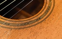 Larson Brothers Dyer Harp Guitar Style 3 ca. 1908-16.jpg