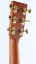 Furch Vintage 3 D-SR-5.jpg