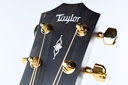 Taylor 50th Anniversary 316ce Baritone Shaded Edgeburst-12.jpg