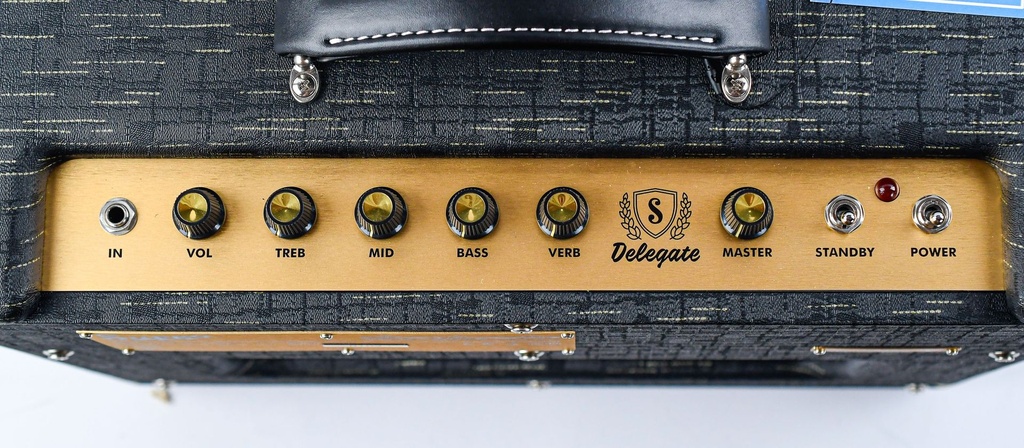 Supro Delegate 1x12 Custom Combo-8.jpg