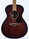 Taylor AD22E 2023-3.jpg