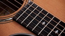 Taylor Legacy 514ce