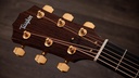 Taylor Legacy 514ce