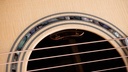 Taylor Legacy 815e