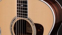 Taylor Legacy 815e