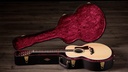 Taylor Legacy 855e