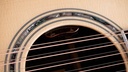 Taylor Legacy 855e