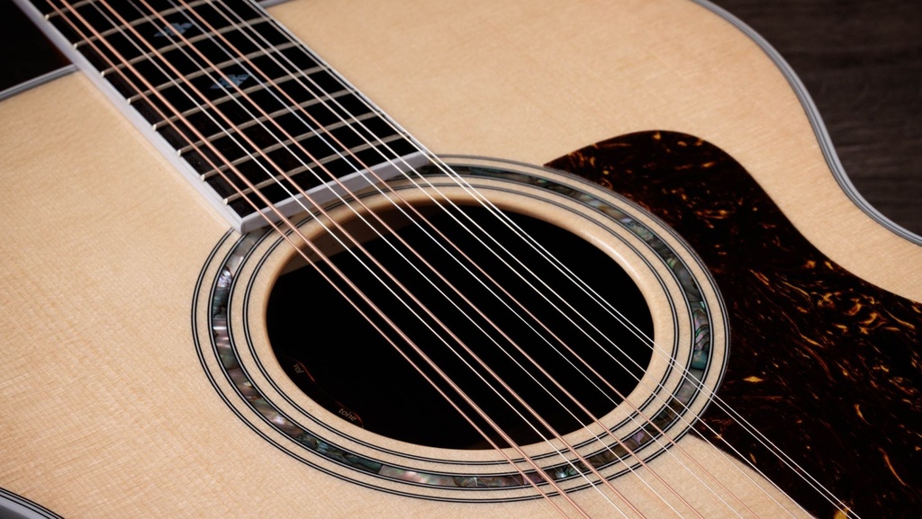 Taylor Legacy 855e