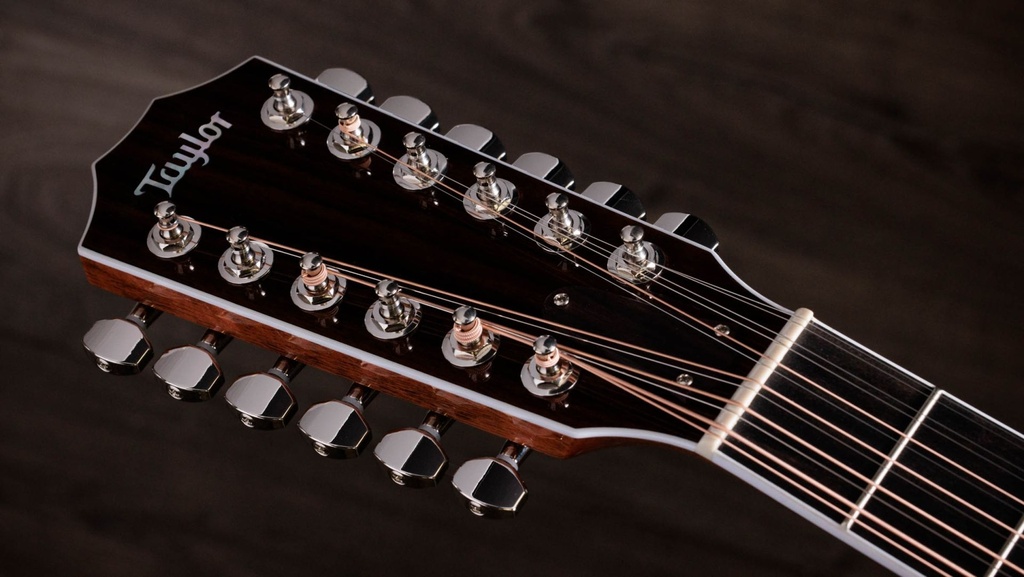 Taylor Legacy 855e