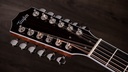 Taylor Legacy 855e