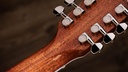 Taylor Legacy 855e