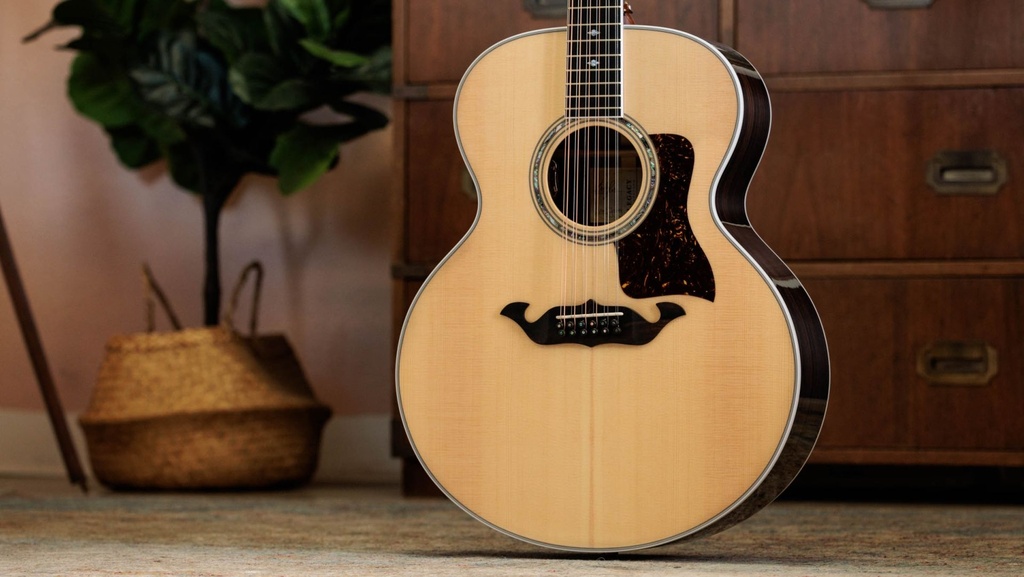 Taylor Legacy 855e