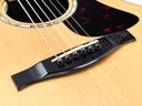 [14655240] Eastman AC822CE FanFret 2019-10.jpg