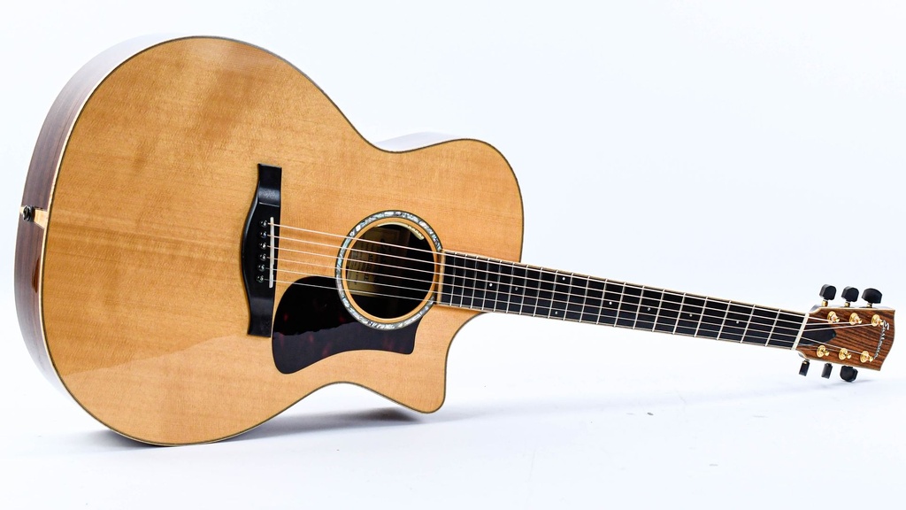 [14655240] Eastman AC822CE FanFret 2019-17.jpg