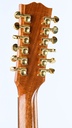 [21970020] Gibson Songwriter 12 string 2020-5.jpg