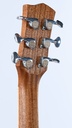 Kalli Tucka OM Lebanon Cedar-5.jpg