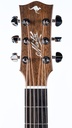 Maton EBG808TE Tommy Emmanuel Handsigned-4.jpg