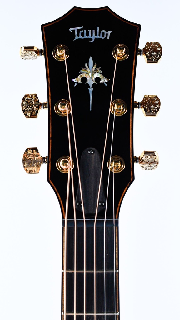 Taylor 50th Anniversary 924ce-K LTD-4.jpg