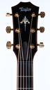 Taylor 50th Anniversary 924ce-K LTD-4.jpg