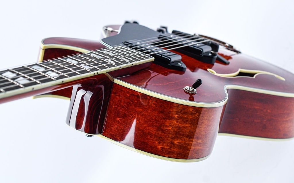 Eastman AR372CE P90 Truetone Classic-8.jpg