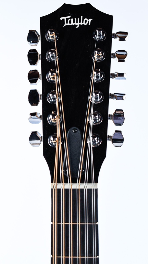 Taylor 150E 12 string 2022-4.jpg