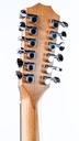 Taylor 150E 12 string 2022-5.jpg