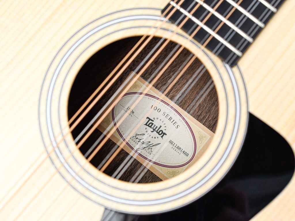 Taylor 150E 12 string 2022-11.jpg