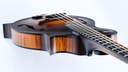 Collings MF Mandolin-8.jpg