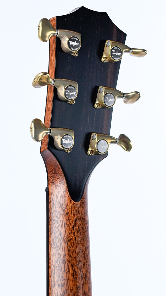 Taylor Builder's Edition 914ce Natural-5.jpg