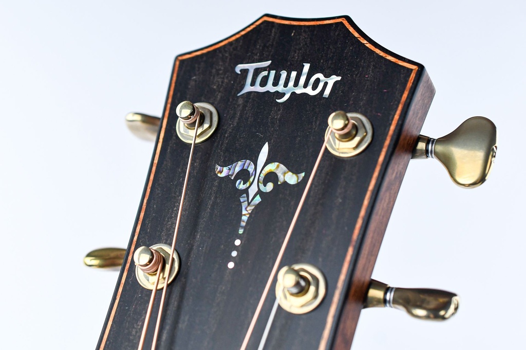 Taylor Builder's Edition 914ce Natural-13.jpg