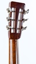 Atkin 037S 12 Fret Deluxe Style 41-5.jpg