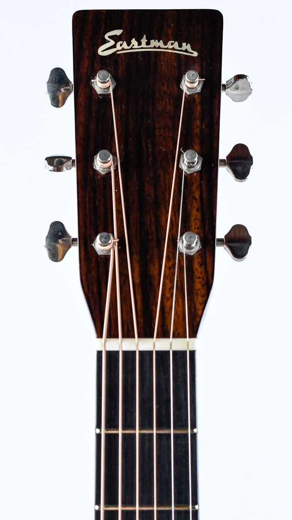 Eastman E20D 2015-4.jpg