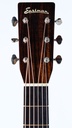 Eastman E20D 2015-4.jpg