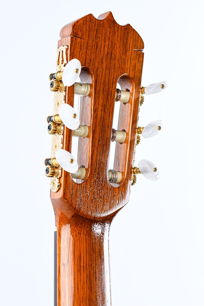 Kenny Hill Madrid Spruce Rosewood 2002-5.jpg