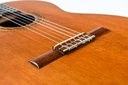 Kenny Hill Madrid Spruce Rosewood 2002-12.jpg