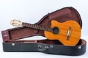 Gibson Chet Atkins Nylon Natural 1982.jpg