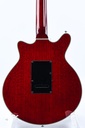 Brian May Special Antique Cherry 2020-6.jpg