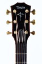 Taylor 912ce Builder's Edition 2020-4.jpg