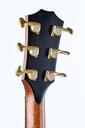 Taylor 912ce Builder's Edition 2020-5.jpg