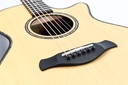 Taylor 912ce Builder's Edition 2020-10.jpg