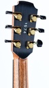 Lowden F35C Cocobolo Alpine Spruce Ann. Model-6.jpg