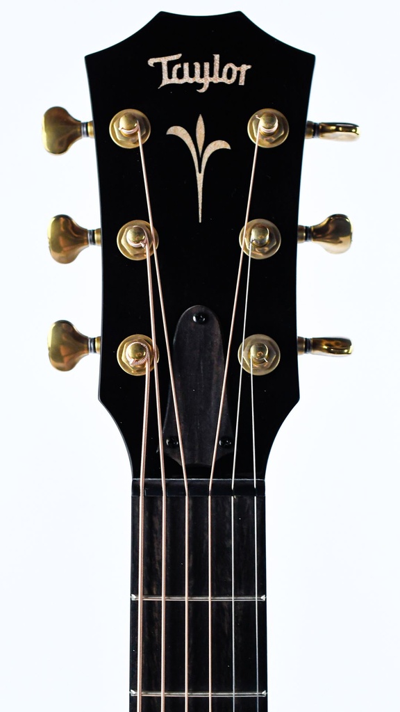 Taylor GT K21e-4.jpg