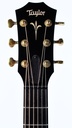 Taylor GT K21e-4.jpg